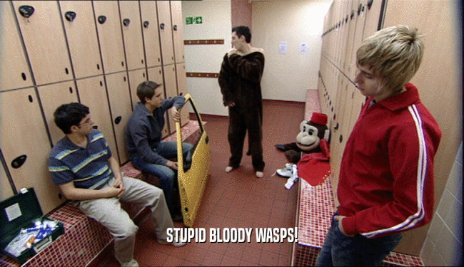 STUPID BLOODY WASPS!  