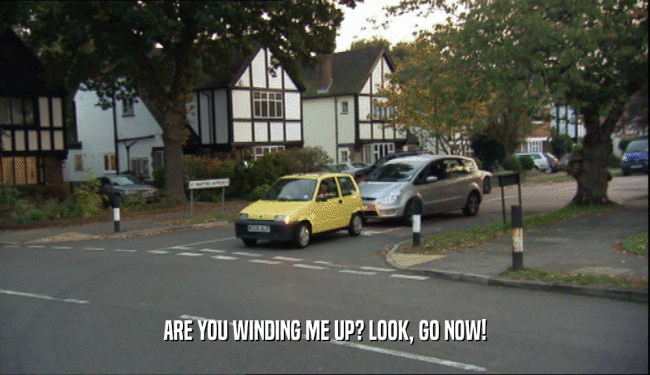 ARE YOU WINDING ME UP? LOOK, GO NOW!  
