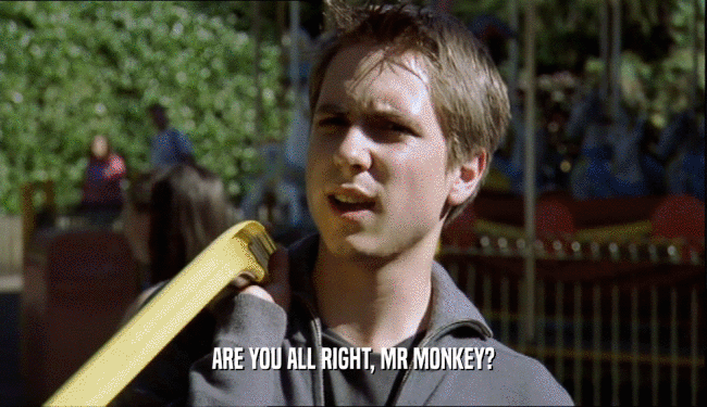 ARE YOU ALL RIGHT, MR MONKEY?  