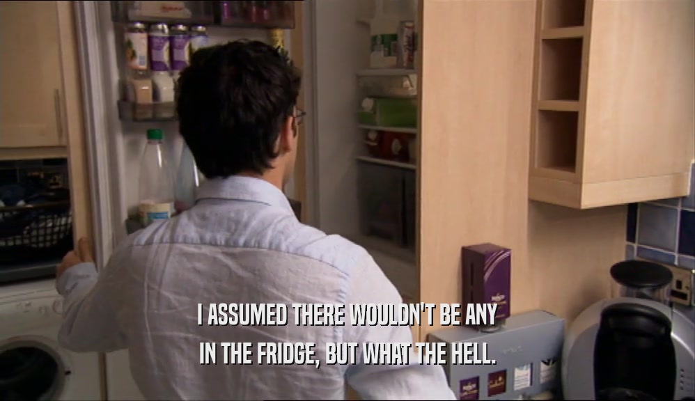 I ASSUMED THERE WOULDN'T BE ANY IN THE FRIDGE, BUT WHAT THE HELL. 
