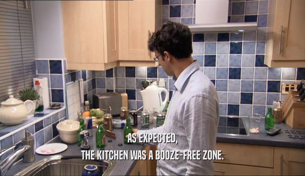 AS EXPECTED, THE KITCHEN WAS A BOOZE-FREE ZONE. 