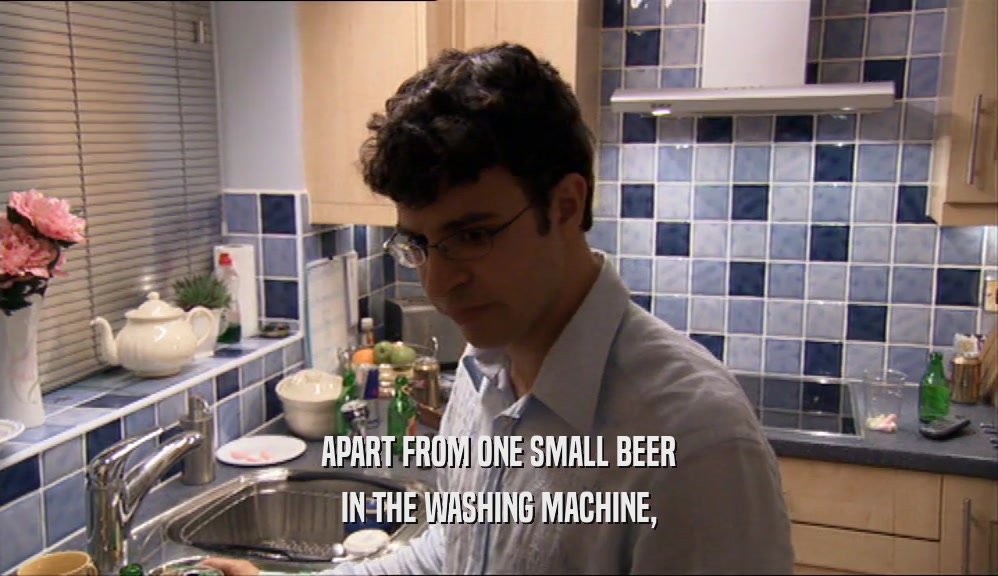 APART FROM ONE SMALL BEER IN THE WASHING MACHINE, 