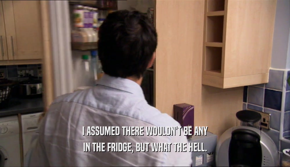I ASSUMED THERE WOULDN'T BE ANY IN THE FRIDGE, BUT WHAT THE HELL. 