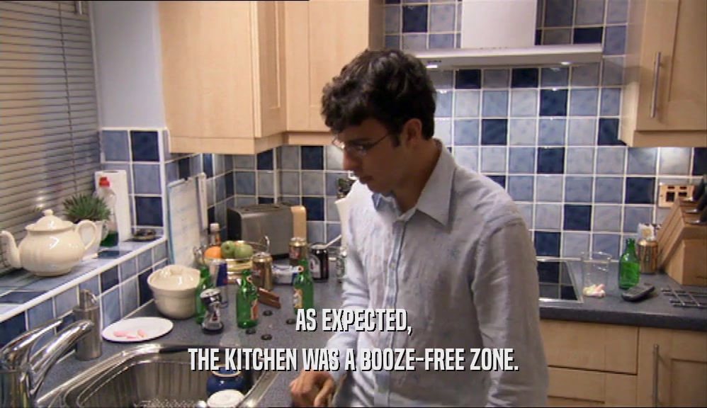 AS EXPECTED, THE KITCHEN WAS A BOOZE-FREE ZONE. 