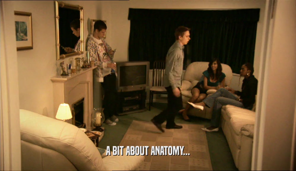 A BIT ABOUT ANATOMY...  