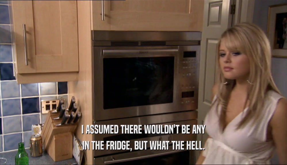 I ASSUMED THERE WOULDN'T BE ANY IN THE FRIDGE, BUT WHAT THE HELL. 