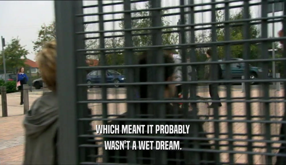 WHICH MEANT IT PROBABLY WASN'T A WET DREAM. 