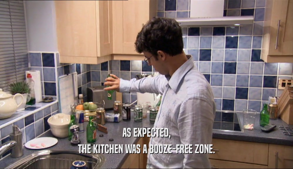 AS EXPECTED, THE KITCHEN WAS A BOOZE-FREE ZONE. 