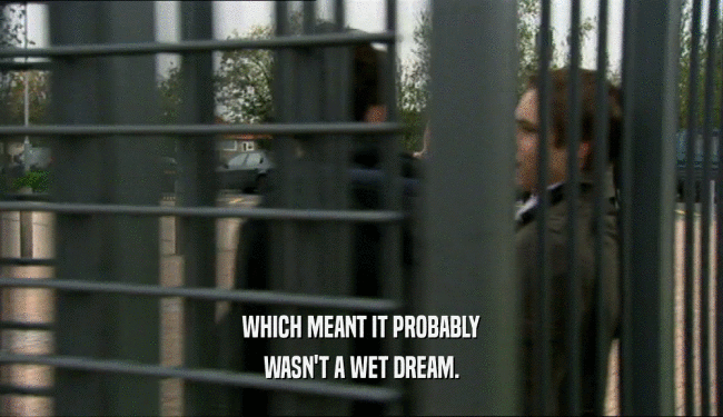 WHICH MEANT IT PROBABLY WASN'T A WET DREAM. 