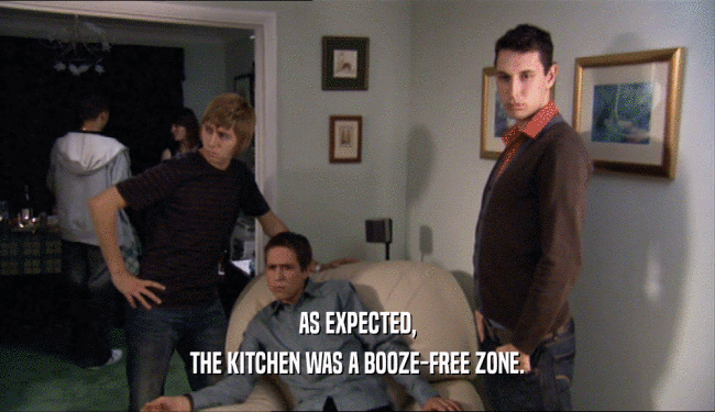 AS EXPECTED, THE KITCHEN WAS A BOOZE-FREE ZONE. 