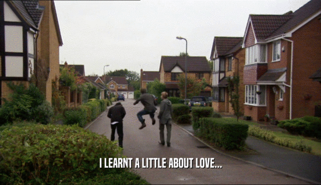 I LEARNT A LITTLE ABOUT LOVE...  