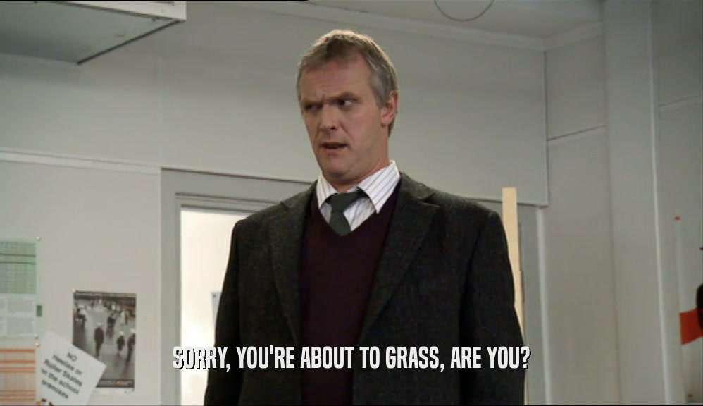 SORRY, YOU'RE ABOUT TO GRASS, ARE YOU?  