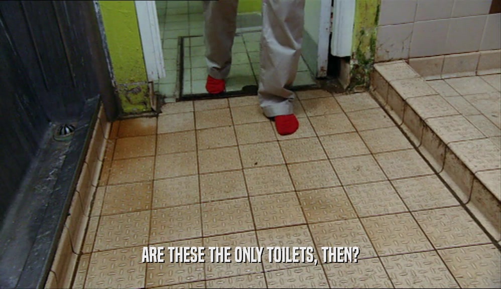 ARE THESE THE ONLY TOILETS, THEN?  