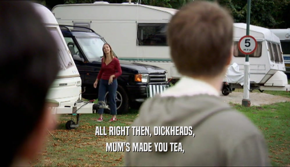 ALL RIGHT THEN, DICKHEADS, MUM'S MADE YOU TEA, 