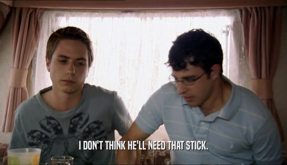 I DON'T THINK HE'LL NEED THAT STICK.  