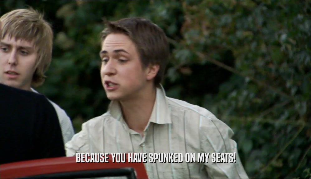 BECAUSE YOU HAVE SPUNKED ON MY SEATS!  