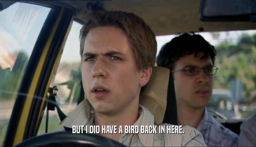 BUT I DID HAVE A BIRD BACK IN HERE.  