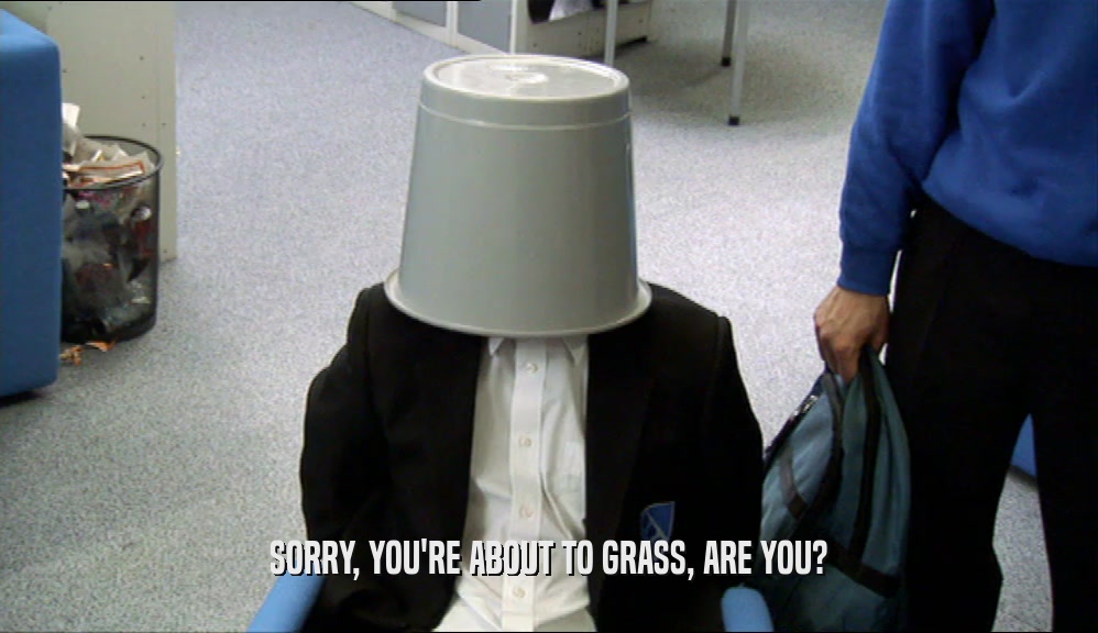 SORRY, YOU'RE ABOUT TO GRASS, ARE YOU?  