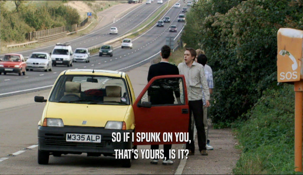 SO IF I SPUNK ON YOU, THAT'S YOURS, IS IT? 