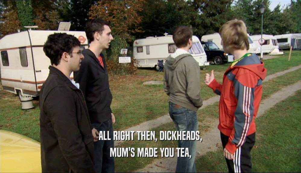 ALL RIGHT THEN, DICKHEADS, MUM'S MADE YOU TEA, 