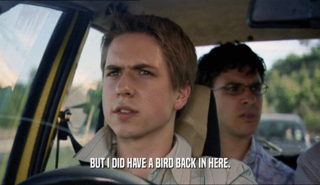 BUT I DID HAVE A BIRD BACK IN HERE.  