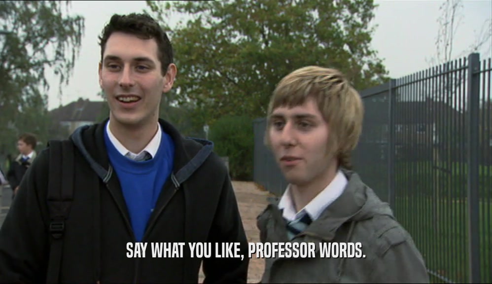 SAY WHAT YOU LIKE, PROFESSOR WORDS.  
