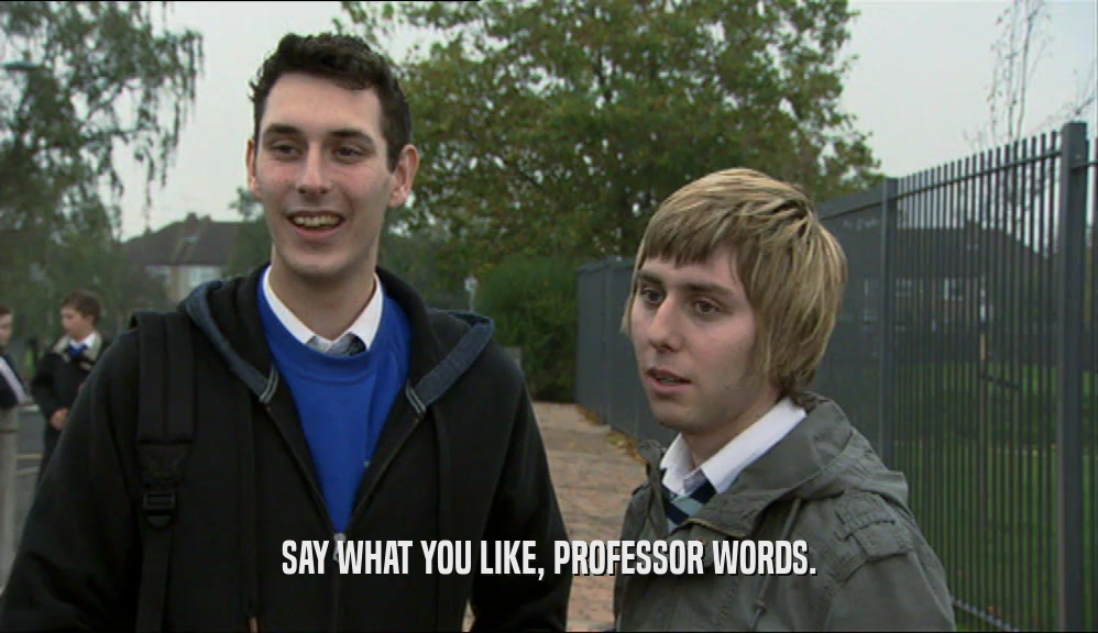 SAY WHAT YOU LIKE, PROFESSOR WORDS.  