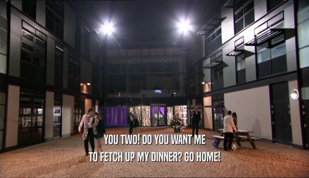 YOU TWO! DO YOU WANT ME TO FETCH UP MY DINNER? GO HOME! 