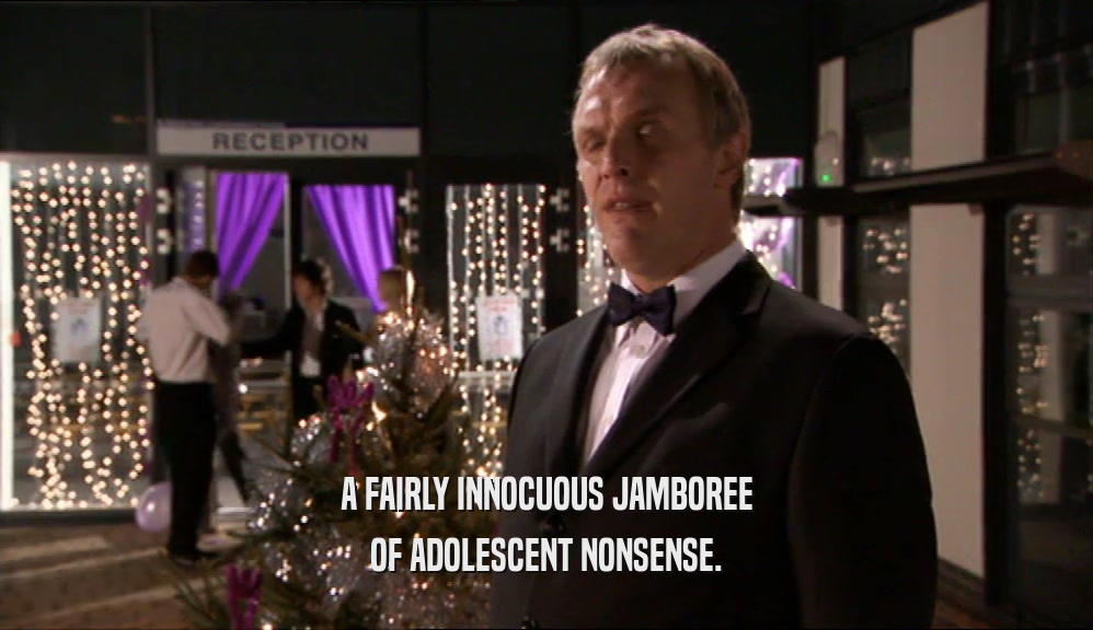 A FAIRLY INNOCUOUS JAMBOREE OF ADOLESCENT NONSENSE. 