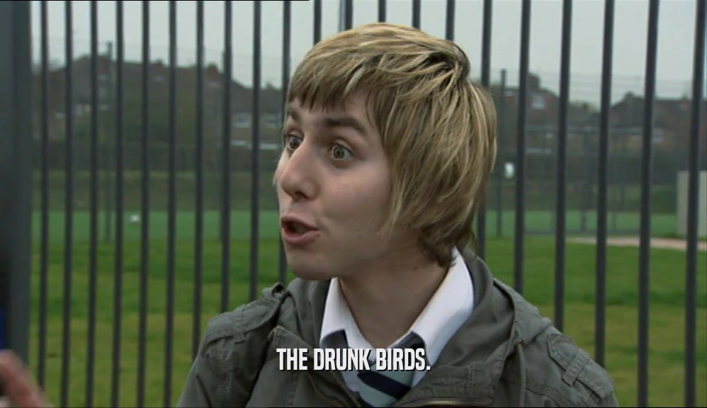 THE DRUNK BIRDS.  
