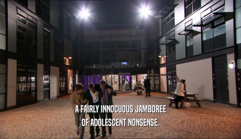A FAIRLY INNOCUOUS JAMBOREE OF ADOLESCENT NONSENSE. 