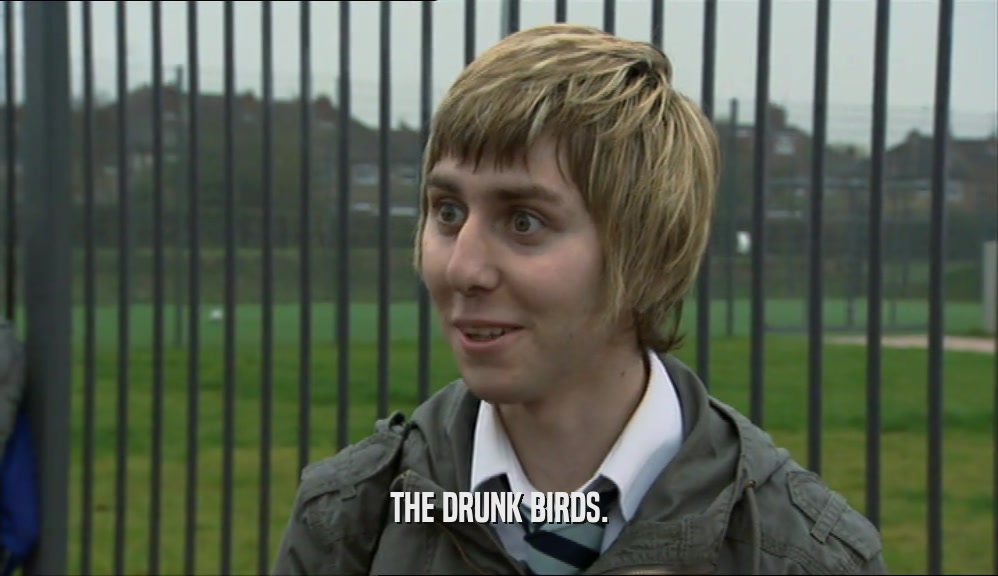 THE DRUNK BIRDS.  
