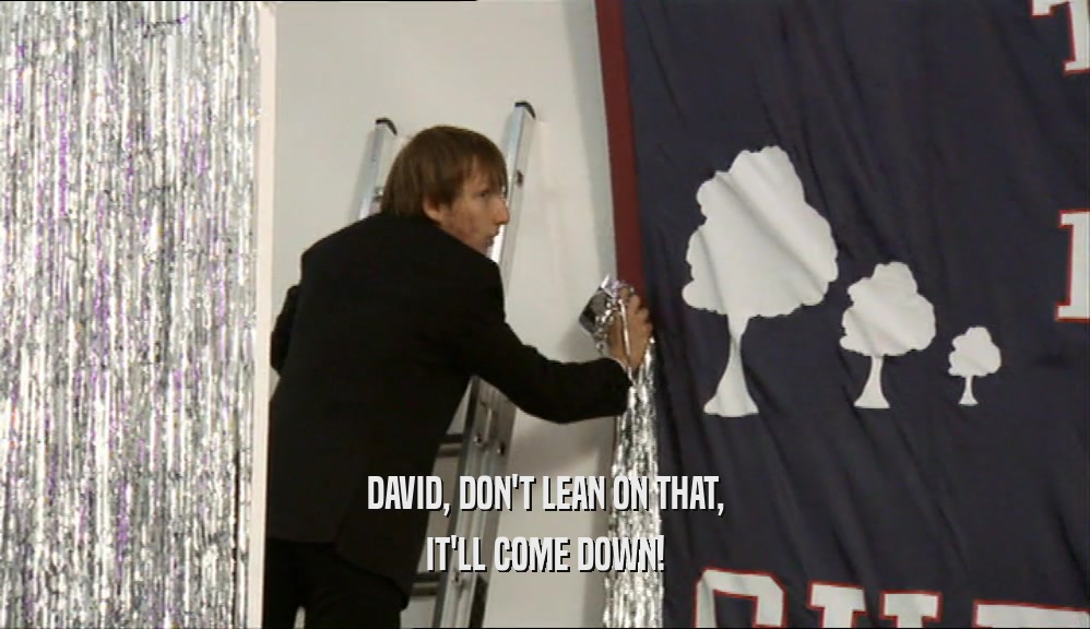 DAVID, DON'T LEAN ON THAT, IT'LL COME DOWN! 