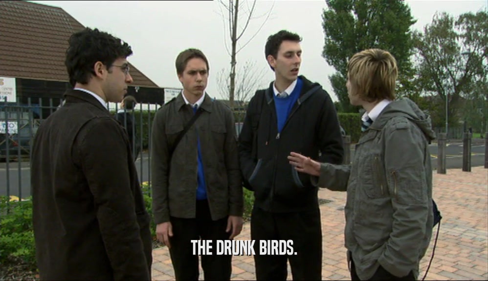 THE DRUNK BIRDS.  