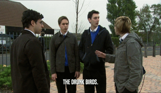 THE DRUNK BIRDS.  