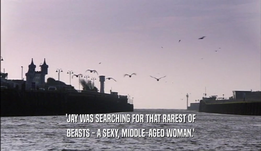 'JAY WAS SEARCHING FOR THAT RAREST OF BEASTS - A SEXY, MIDDLE-AGED WOMAN.' 