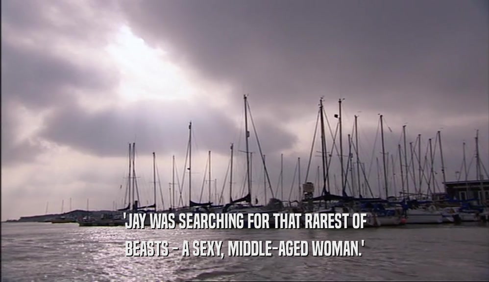 'JAY WAS SEARCHING FOR THAT RAREST OF BEASTS - A SEXY, MIDDLE-AGED WOMAN.' 