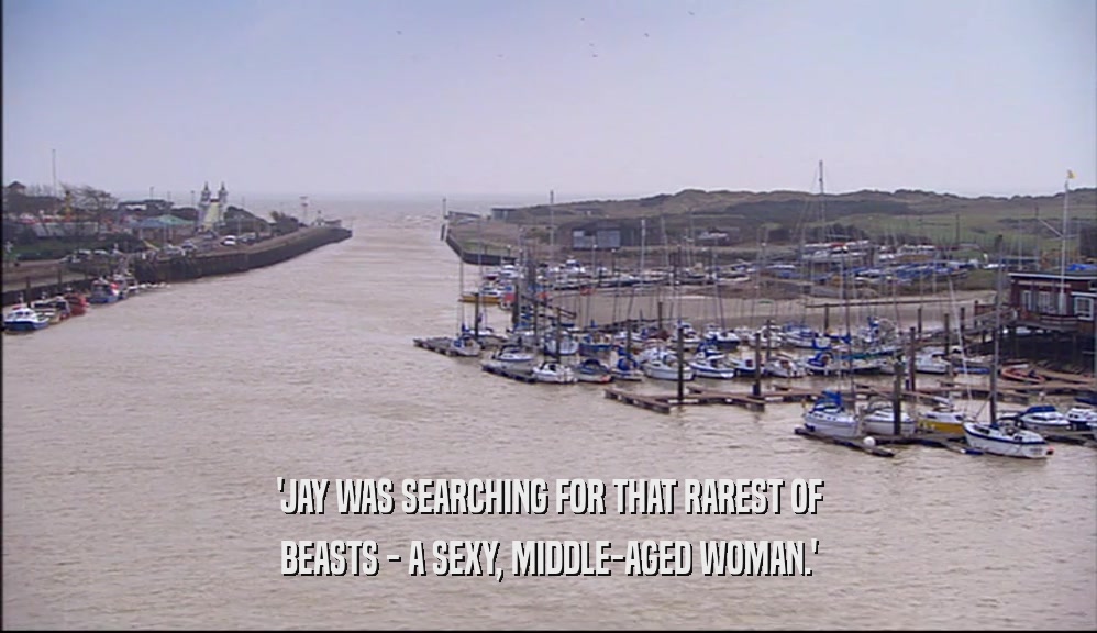 'JAY WAS SEARCHING FOR THAT RAREST OF BEASTS - A SEXY, MIDDLE-AGED WOMAN.' 