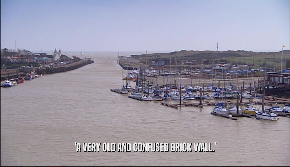 'A VERY OLD AND CONFUSED BRICK WALL.'  