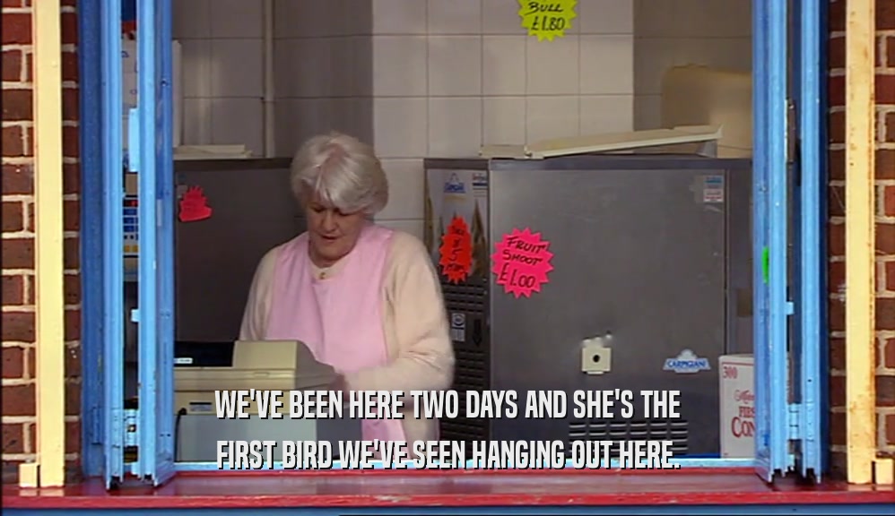 WE'VE BEEN HERE TWO DAYS AND SHE'S THE FIRST BIRD WE'VE SEEN HANGING OUT HERE. 