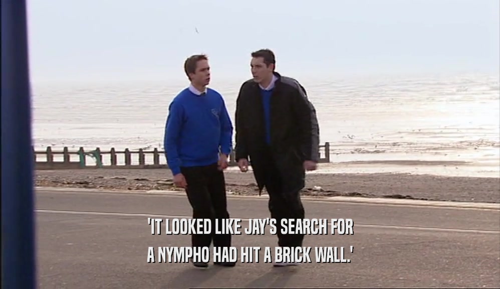 'IT LOOKED LIKE JAY'S SEARCH FOR A NYMPHO HAD HIT A BRICK WALL.' 