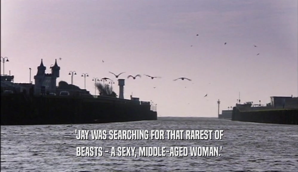 'JAY WAS SEARCHING FOR THAT RAREST OF BEASTS - A SEXY, MIDDLE-AGED WOMAN.' 