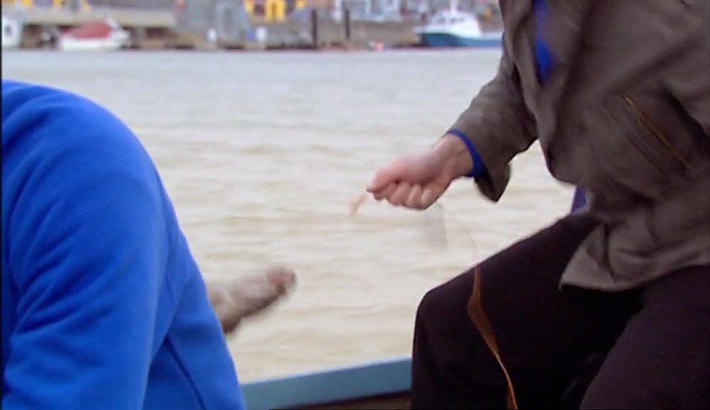 - JESUS CHRIST! - OH, MY. 
