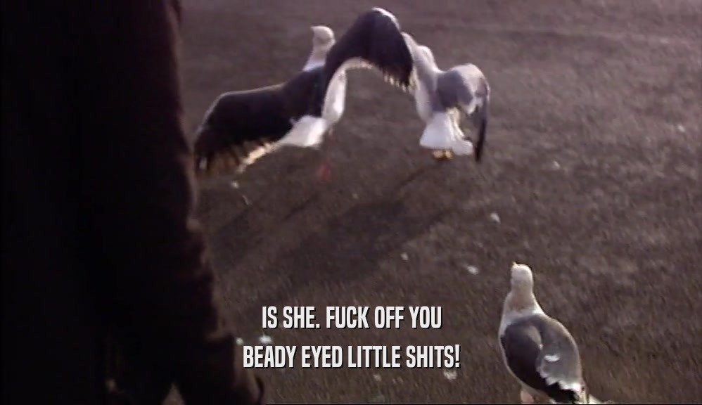 IS SHE. FUCK OFF YOU BEADY EYED LITTLE SHITS! 