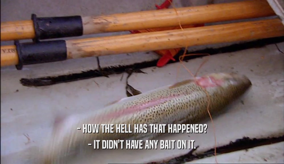 - HOW THE HELL HAS THAT HAPPENED? - IT DIDN'T HAVE ANY BAIT ON IT. 