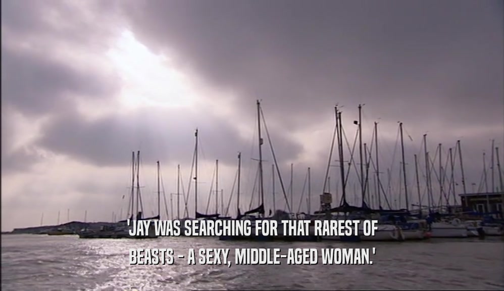 'JAY WAS SEARCHING FOR THAT RAREST OF BEASTS - A SEXY, MIDDLE-AGED WOMAN.' 