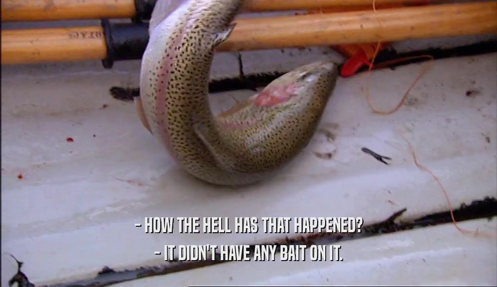 - HOW THE HELL HAS THAT HAPPENED? - IT DIDN'T HAVE ANY BAIT ON IT. 