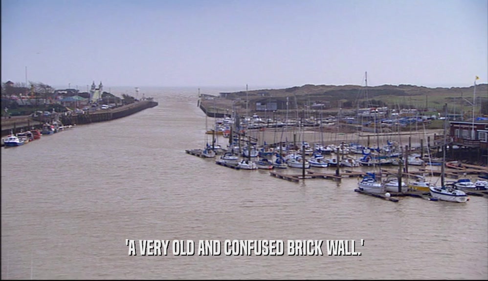 'A VERY OLD AND CONFUSED BRICK WALL.'  