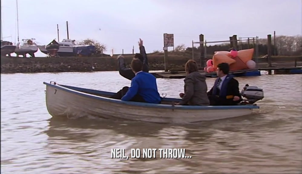 NEIL, DO NOT THROW...  