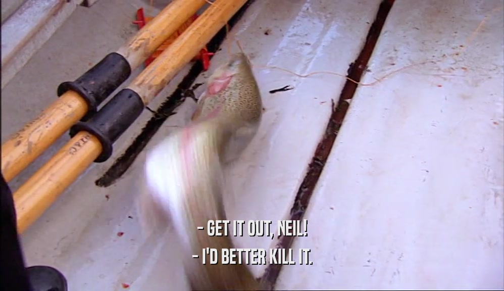 - GET IT OUT, NEIL! - I'D BETTER KILL IT. 